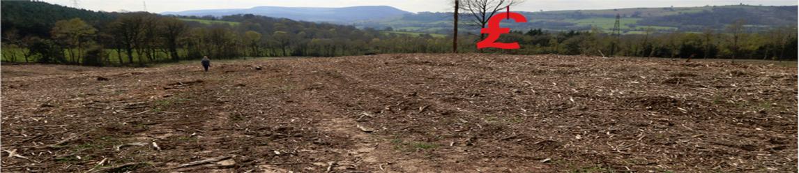 The Commodity News by Mel Witherden: heading image
